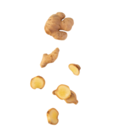 Falling Ginger cutout, Png file