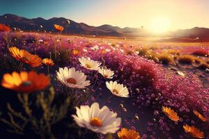 Abstract background field of colorful flowers blooming in the warm sunlight. photo