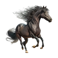 Splash Effect Benz Horse Hand Painted png