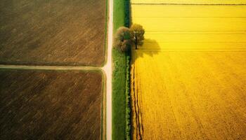 generativo ai, granja paisaje, agrícola campos, hermosa campo, país la carretera. naturaleza ilustración, fotorrealista parte superior ver zumbido, horizontal bandera. foto