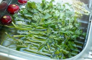 wash coriander and radish. soak fresh vegetables in water before cooking photo