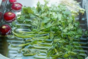 wash coriander and radish. soak fresh vegetables in water before cooking photo