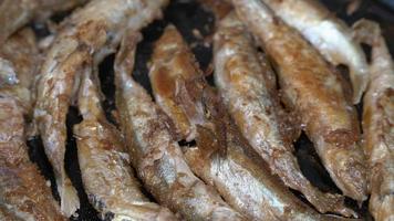 View of cooking frying capelin fish in iron pan. Grilled caplin fish - nutritious Korean dish where entire small fish, from head to tail, bones and roe can be enjoyed as an appetizer or side dish. video