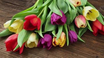 Colorful tulips on wooden table video