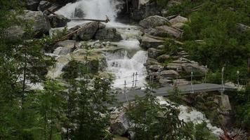 vista panorámica de la cascada en el bosque, altos tatras, eslovaquia video