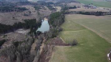 Bark beetle calamity. Aerial view of natural pond video