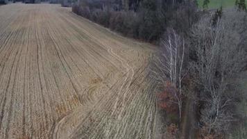 arato agricolo campo. foresta di un' misto alberi dietro a il campo. video