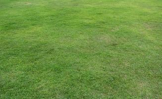verde prado césped campo para deporte antecedentes. foto