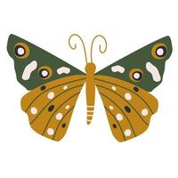 linda boho vector Arte diseño con bohemio mariposa insecto mano dibujado ilustración en un blanco antecedentes