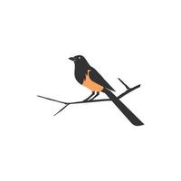 A long tail Magpie bird sits on a branch Illustration vector