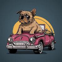Bulldog Pitbull Riding Open Roof Car Vector Artwork Illustration