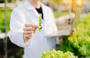 Researcher in white uniform are checking with ph strips in hydroponic farm and pH level scale graphic, science laboratory greenhouse concept. photo