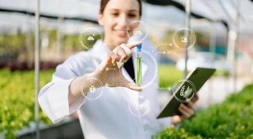 Researcher in white uniform are checking with ph strips in hydroponic farm and pH level scale graphic, science laboratory greenhouse concept. photo