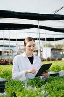 Researcher in white uniform are checking with ph strips in hydroponic farm and pH level scale graphic, science laboratory greenhouse concept. photo