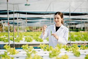 investigador en blanco uniforme son comprobación con ph tiras en hidropónico granja y ph nivel escala gráfico, Ciencias laboratorio invernadero concepto. foto