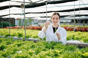 Researcher in white uniform are checking with ph strips in hydroponic farm and pH level scale graphic, science laboratory greenhouse concept. photo