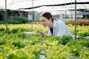 Researcher in white uniform are checking with ph strips in hydroponic farm and pH level scale graphic, science laboratory greenhouse concept. photo