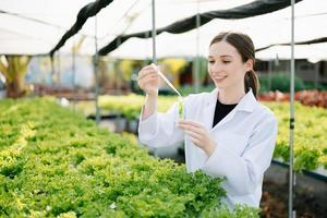 Researcher in white uniform are checking with ph strips in hydroponic farm and pH level scale graphic, science laboratory greenhouse concept. photo