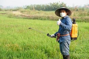 asiático granjero es pulverización orgánico fertilizante a arrozal campo. pulgar arriba. concepto utilizando simpático producto con ambiente agricultura con No productos quimicos usando. la seguridad con usuario y ambiente. foto