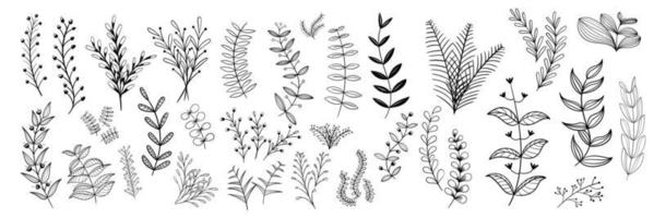 Realistic flowers line art set. Perfect for illustrations. vector