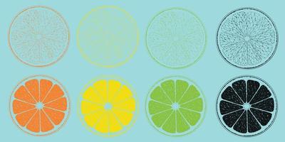 naranja, limón, pomelo y Lima. cortar fruta. cuatro rebanadas de agrios. vector
