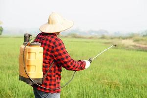 Asian farmer uses herbicides, insecticides chemical spray to get rid of weeds and insects or plant disease in the rice fields. Cause air pollution. Environmental , Agriculture chemicals concept. photo
