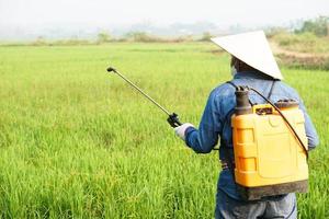 Asian farmer uses herbicides, insecticides chemical spray to get rid of weeds and insects or plant disease in the rice fields. Cause air pollution. Environmental , Agriculture chemicals concept. photo