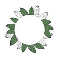 Frame wreath with bay leaf. Background with spices from bay tree. Illustration symbol of victory and fragrant culinary spice. Hand drawing. Round shape design element. Vector