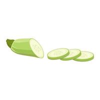 Zucchini cut into slices. Vector illustration on a white background