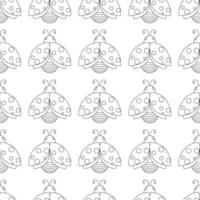 Easter pattern with insect ladybug. Line art. vector
