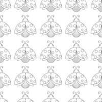 Easter pattern with insect ladybug. Line art. vector