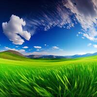 Bright sun shines on green morning grassy meadow, bright blue sky - image photo