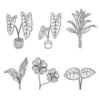 set of leaf hand drawn line doodle aesthetic decoration vector