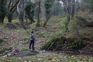 un hombre camina a lo largo un corriente en el otoño bosque. un hombre camina mediante el bosque. foto