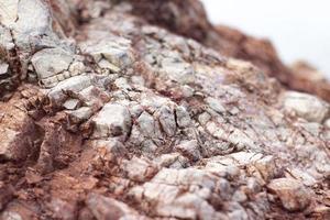 Close-up of rock texture. Rock texture background. Close-up of a rock on the seashore. High-quality photo