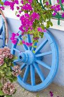 buganvillas flores en frente de un azul de madera rueda.la antiguo de madera rueda en un blanco pared. foto