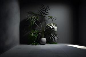 plant in the interior. . photo