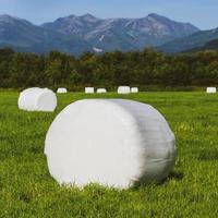 Haystack packed in white pulp packaging. Autumn countryside landscape photo