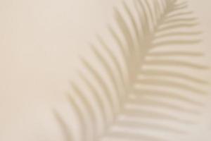 Shadow of palm leaf on pastel background photo