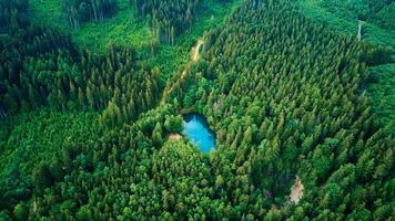 Aerial view of blue colored forest lake in Poland photo