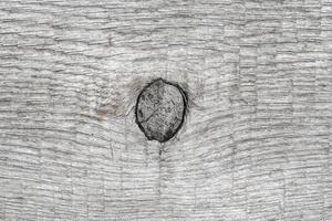 Gray natural wood background with knot. Close-up wooden pattern, ancient texture photo