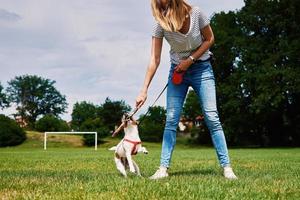 Owner walking dog at green field photo