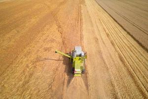 Aerial view of working harvesting combine in wheat field, Harvest season photo