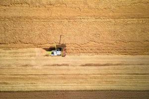 Aerial view of working harvesting combine in wheat field, Harvest season photo