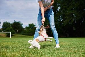 Owner walking dog at green field photo