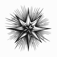 estrella mano dibujado estrella icono firmar - cepillo dibujo caligrafía estrella negro estrellas símbolo - estrella dibujos animados vector ilustración Pro vector