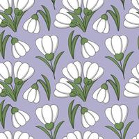 Seamless pattern with flower snowdrop on purple background vector