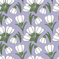 Seamless pattern with flower snowdrop on purple background vector