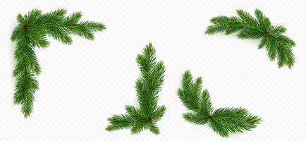 Pine tree branch border. green fir twigs frame vector