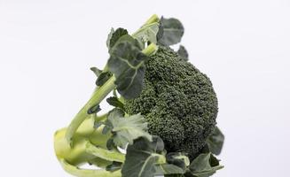An organic broccoli against white background photo
